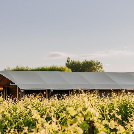 Villas & Vines Glamping Hastings Exterior photo