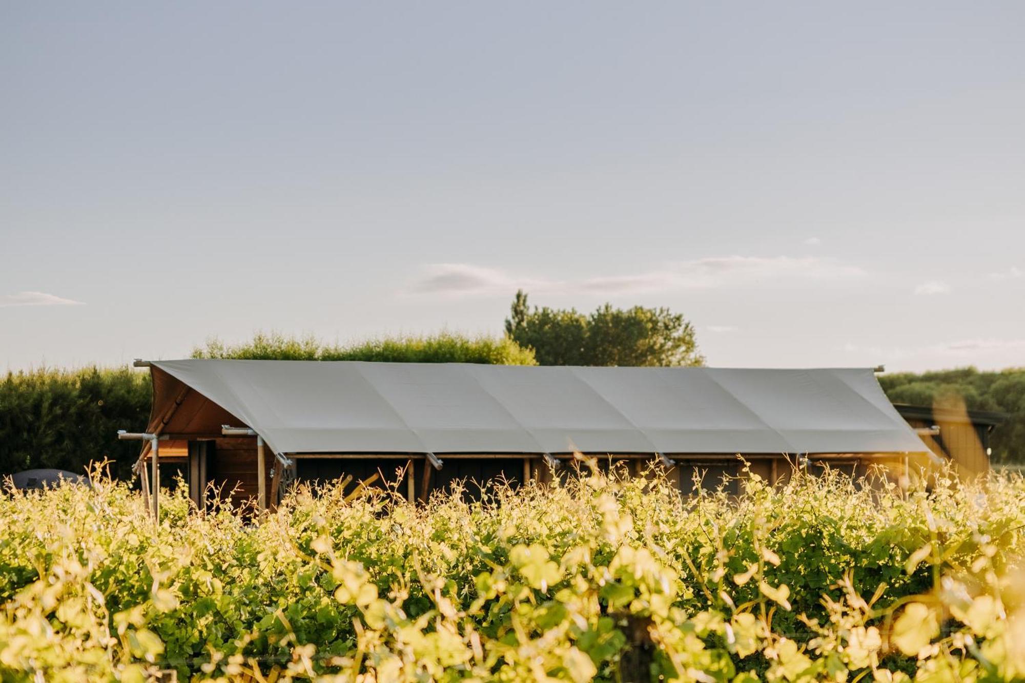 Villas & Vines Glamping Hastings Exterior photo