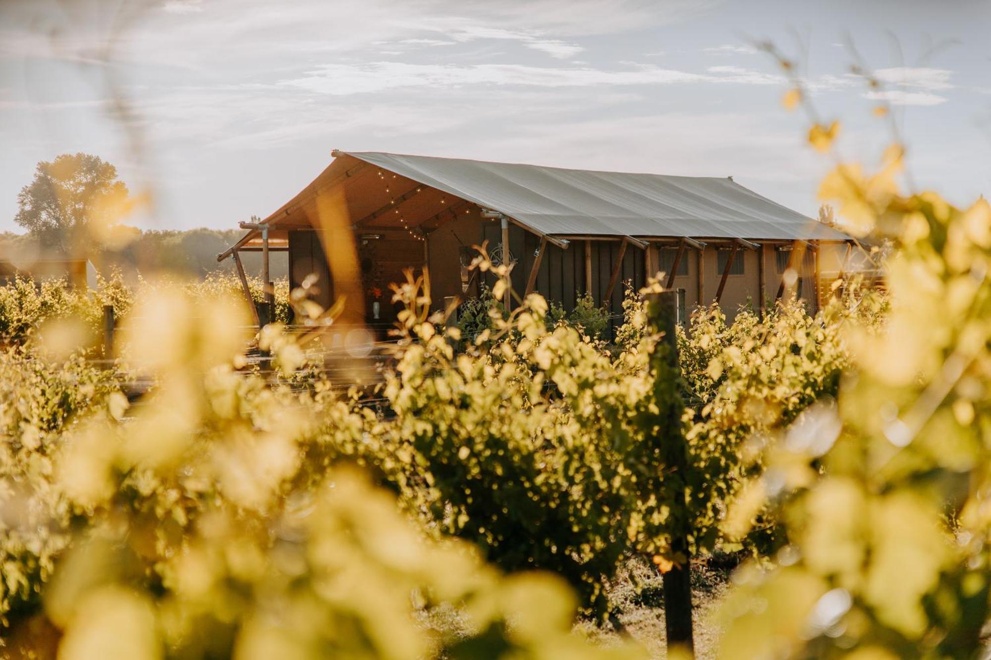 Villas & Vines Glamping Hastings Exterior photo
