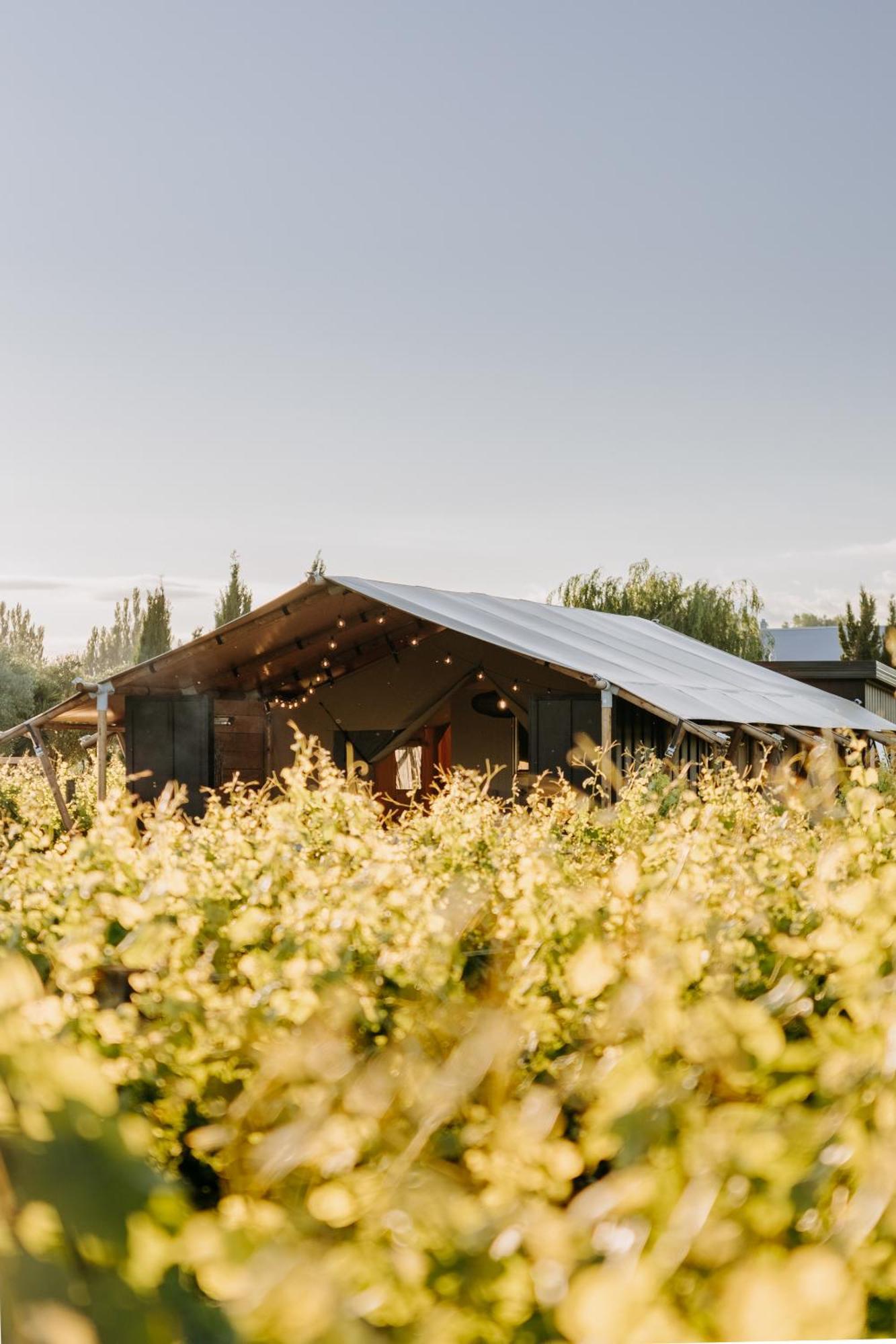 Villas & Vines Glamping Hastings Exterior photo