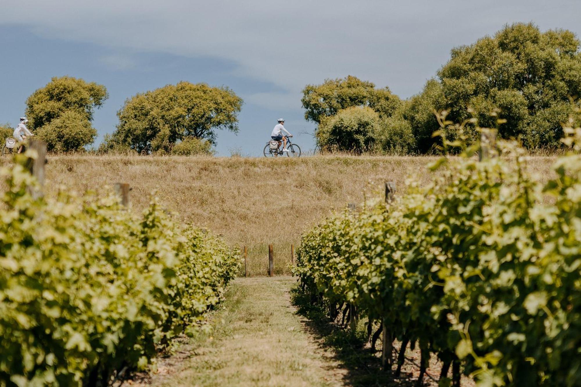 Villas & Vines Glamping Hastings Exterior photo